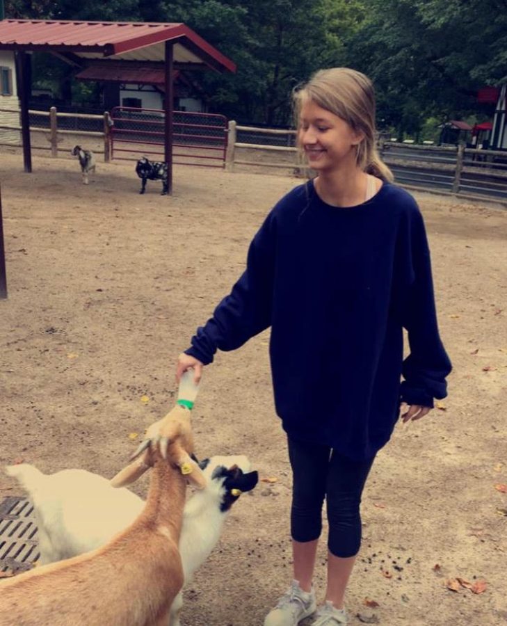 Sophomore Ellie Eisenhart feeds the goats at Grant’s Farm during the class’s private tour of the attraction on Oct. 12.  Photo courtesy of Ellie Eisenhart.
