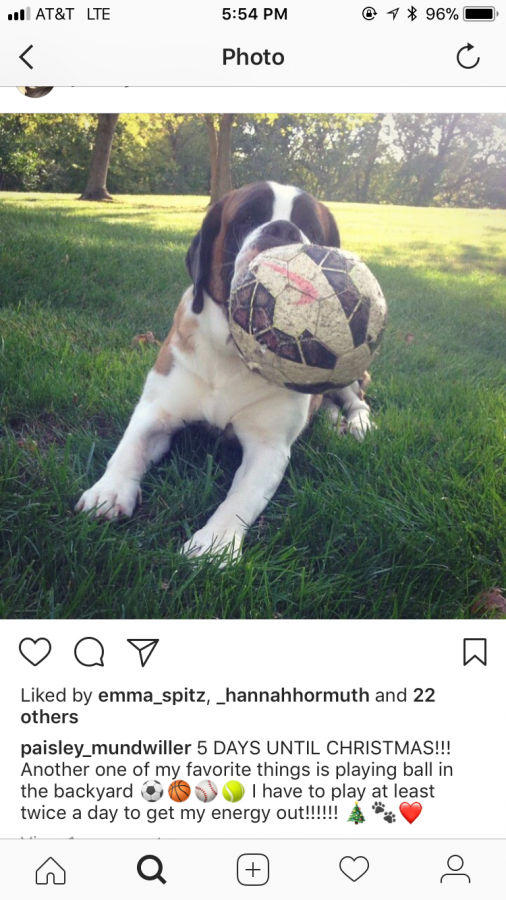 Post from Paisley with her ball
