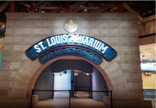 Visit+the+new+St.+Louis+Aquarium+on+your+staycation%21
