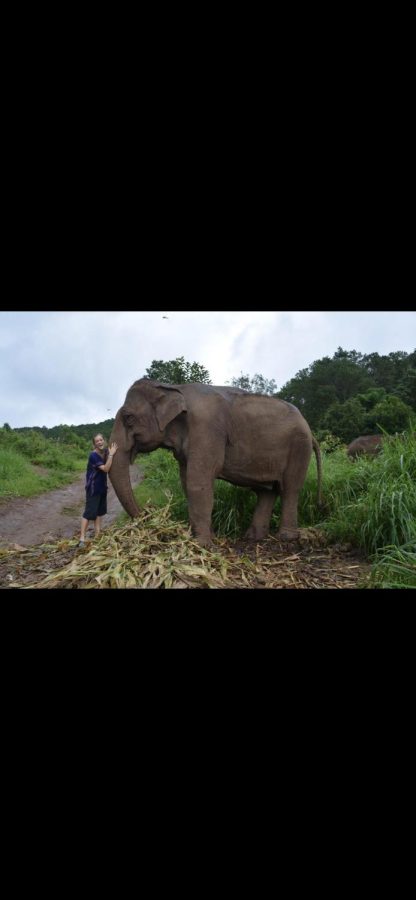 Ms. Luem after being licked by an elephant in Thailand.